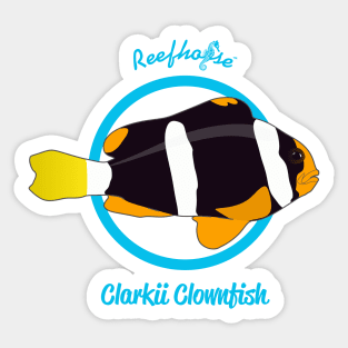 Clarkii Clownfish Sticker